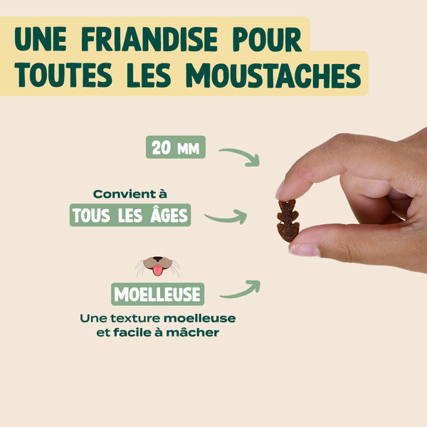 mini-snack-digestion