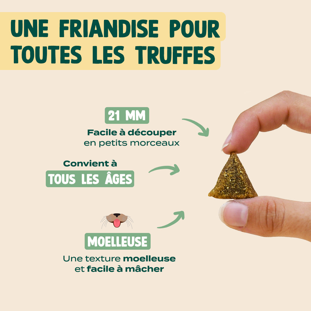 NOËL GOURMAND - DINDE, CHEDDAR