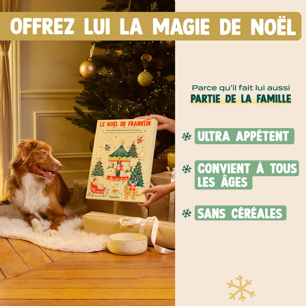 calendrier-de-l-39-avent-chien