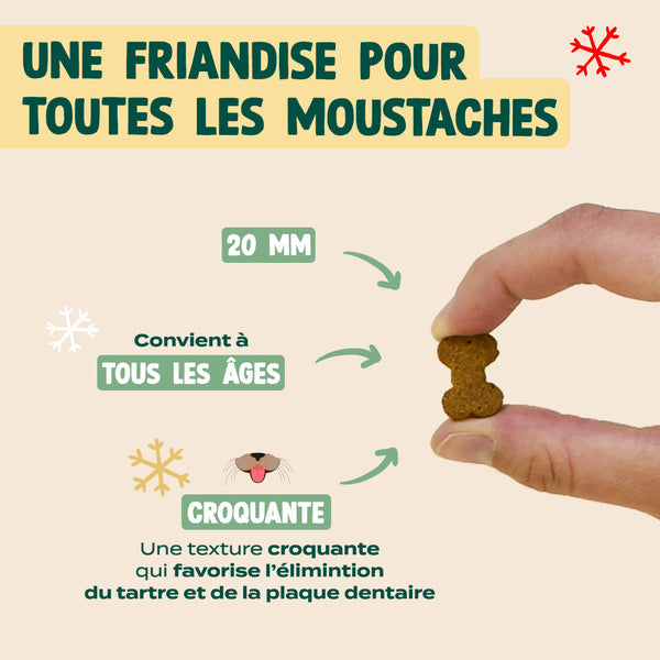 noel-gourmand-canard-cranberry