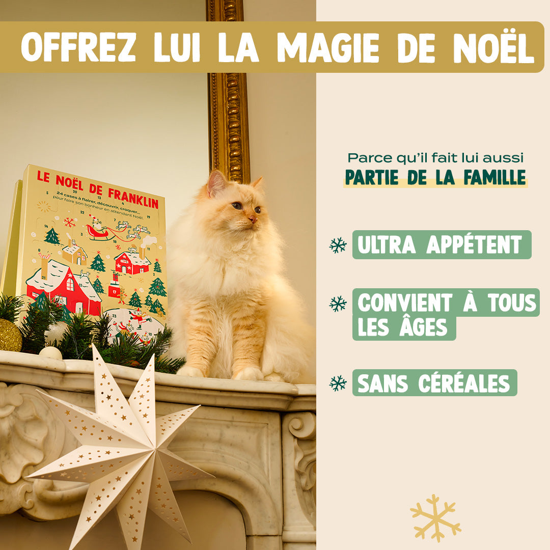 CALENDRIER DE L'AVENT CHAT