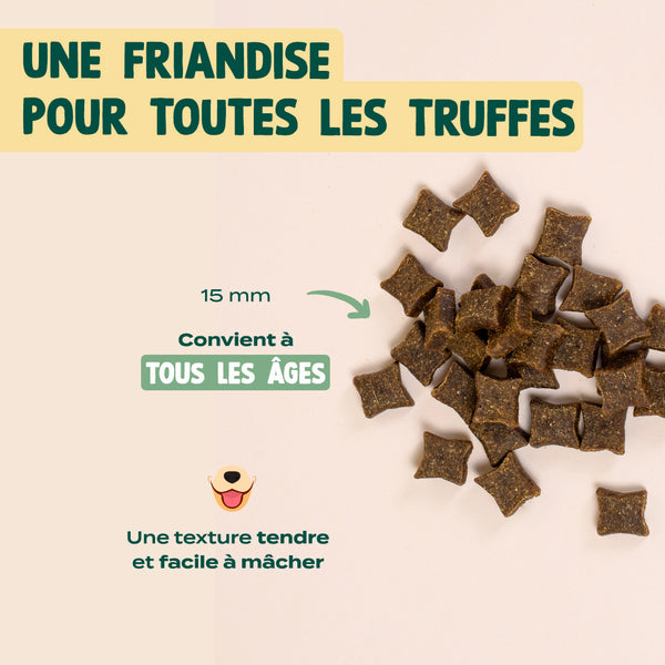 friandises-peau-amp-pelage