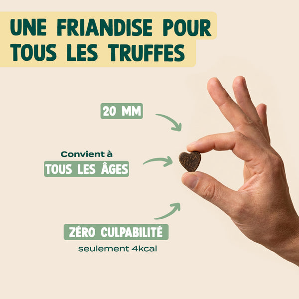 coeurs-tendres-poulet-romarin