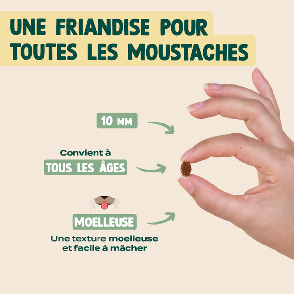 super-snack-saumon-collagene