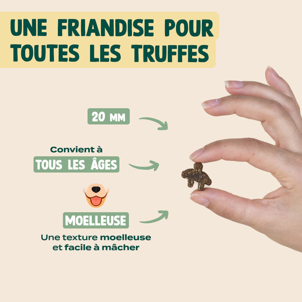 super-snack-hareng-potiron