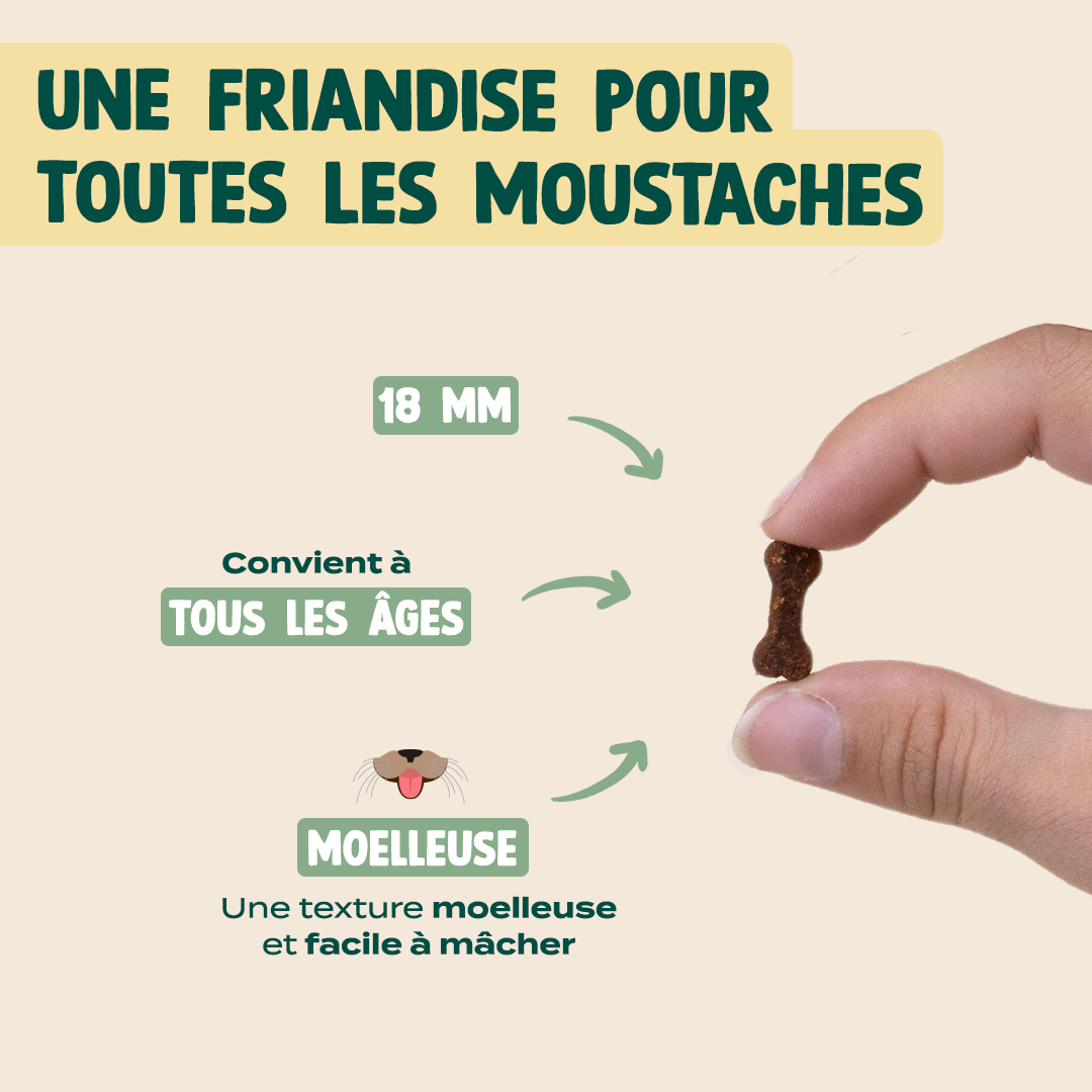 MINI SNACK URINAIRE