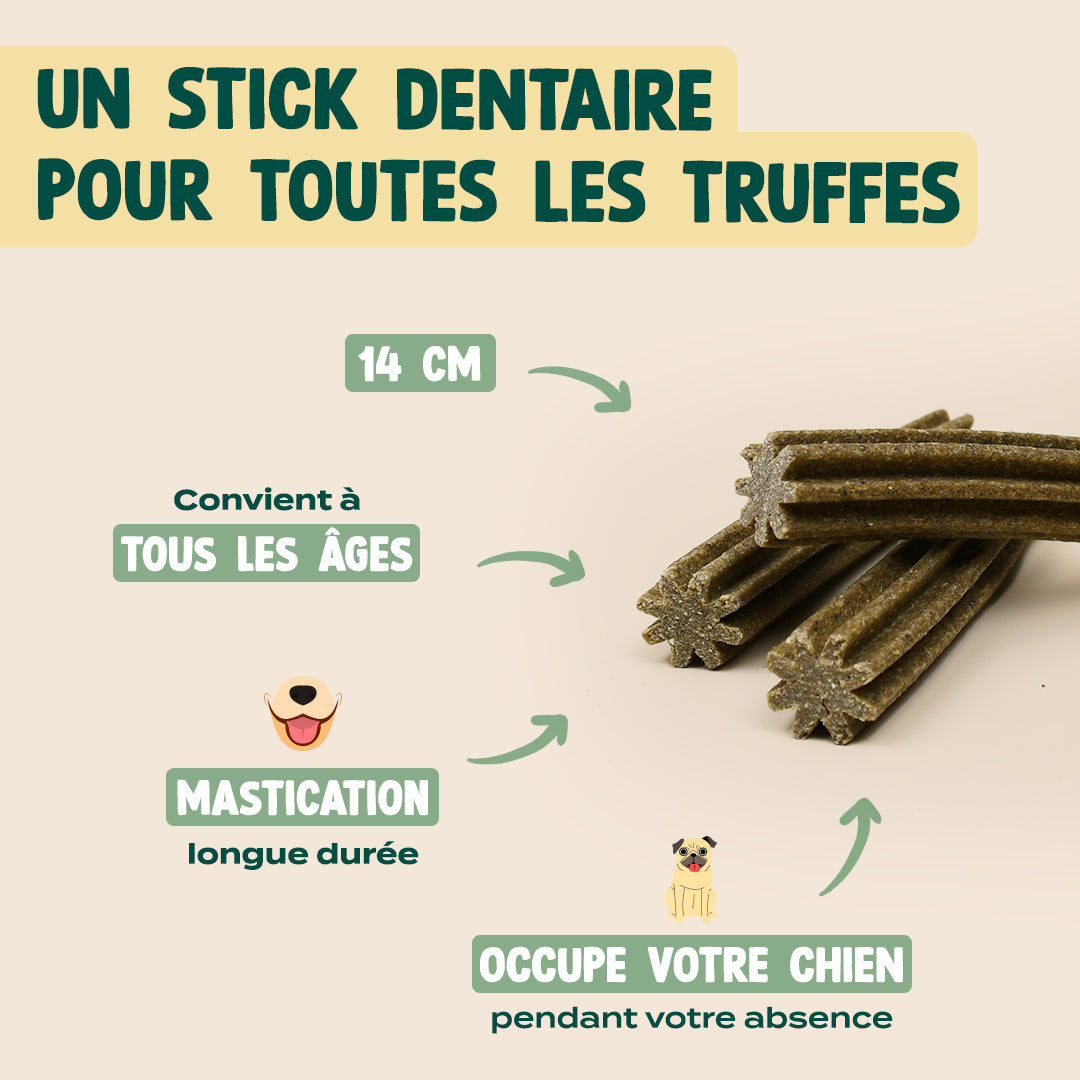 PACK POUR CHIEN STRESSÉ