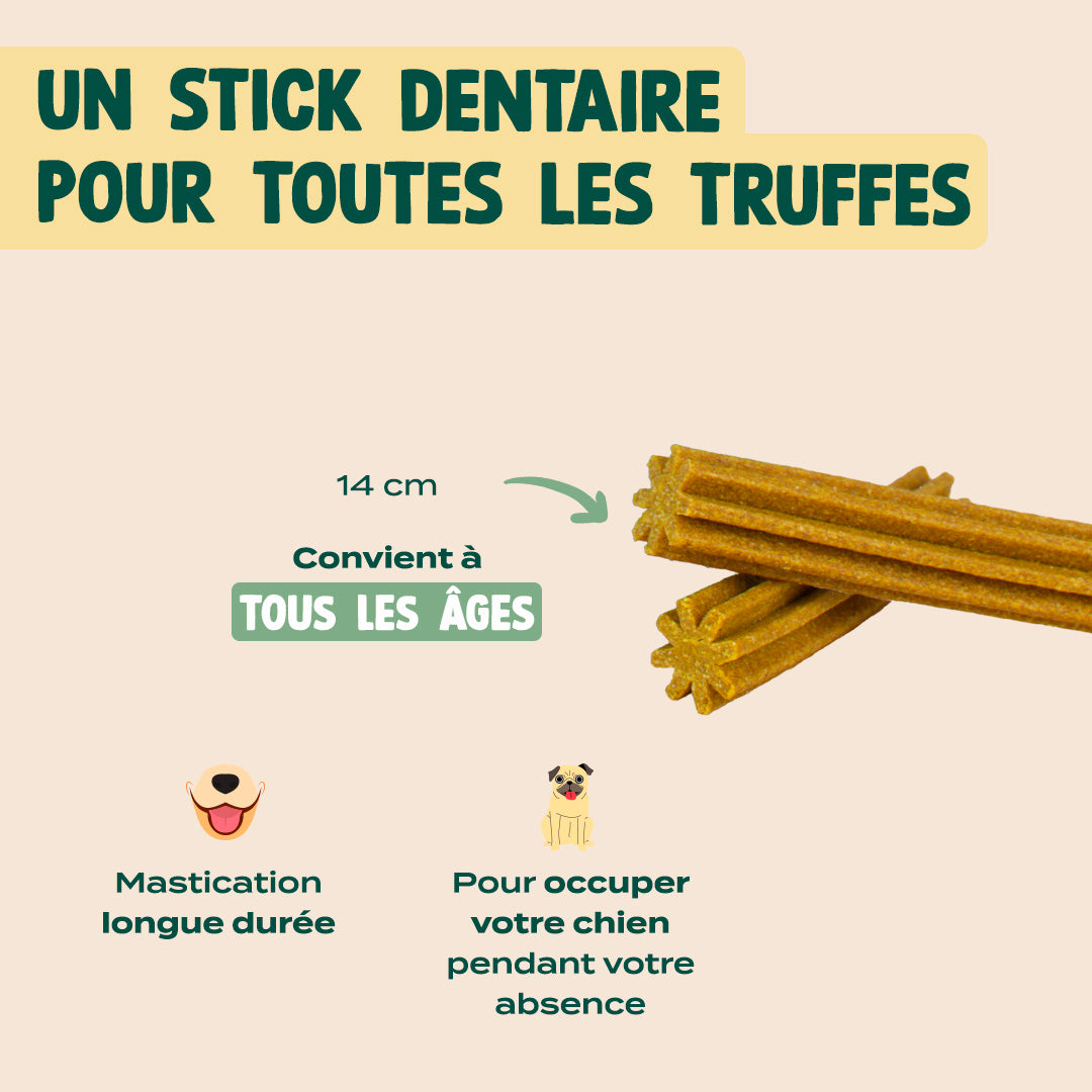 STICKS MOBILITÉ & ARTICULATIONS