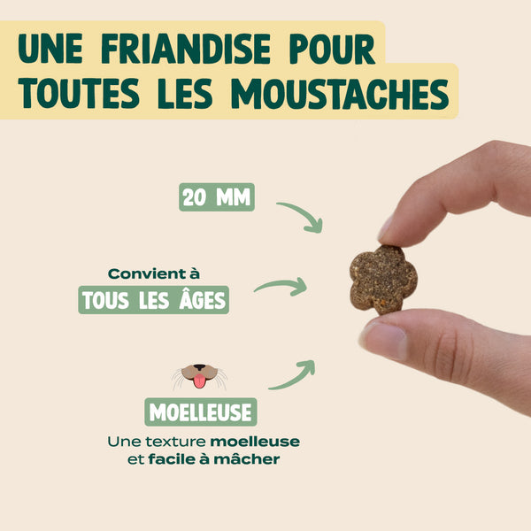 summer-snack-dinde-valeriane