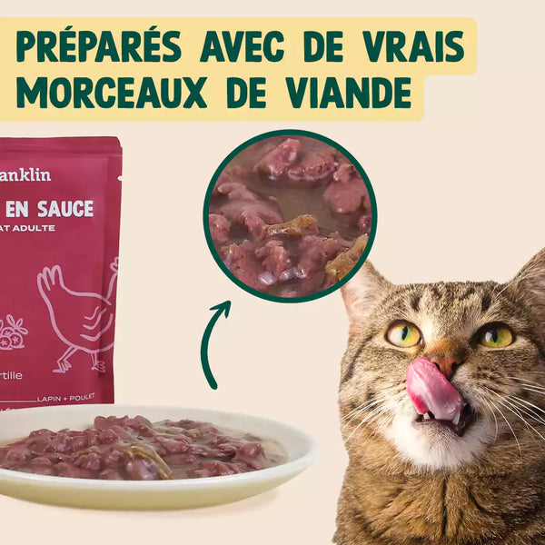 lapin-poulet-myrtille