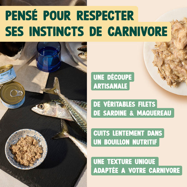 sardine-amp-maquereau