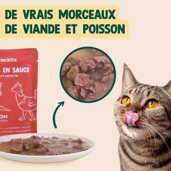 saumon-poulet-carotte