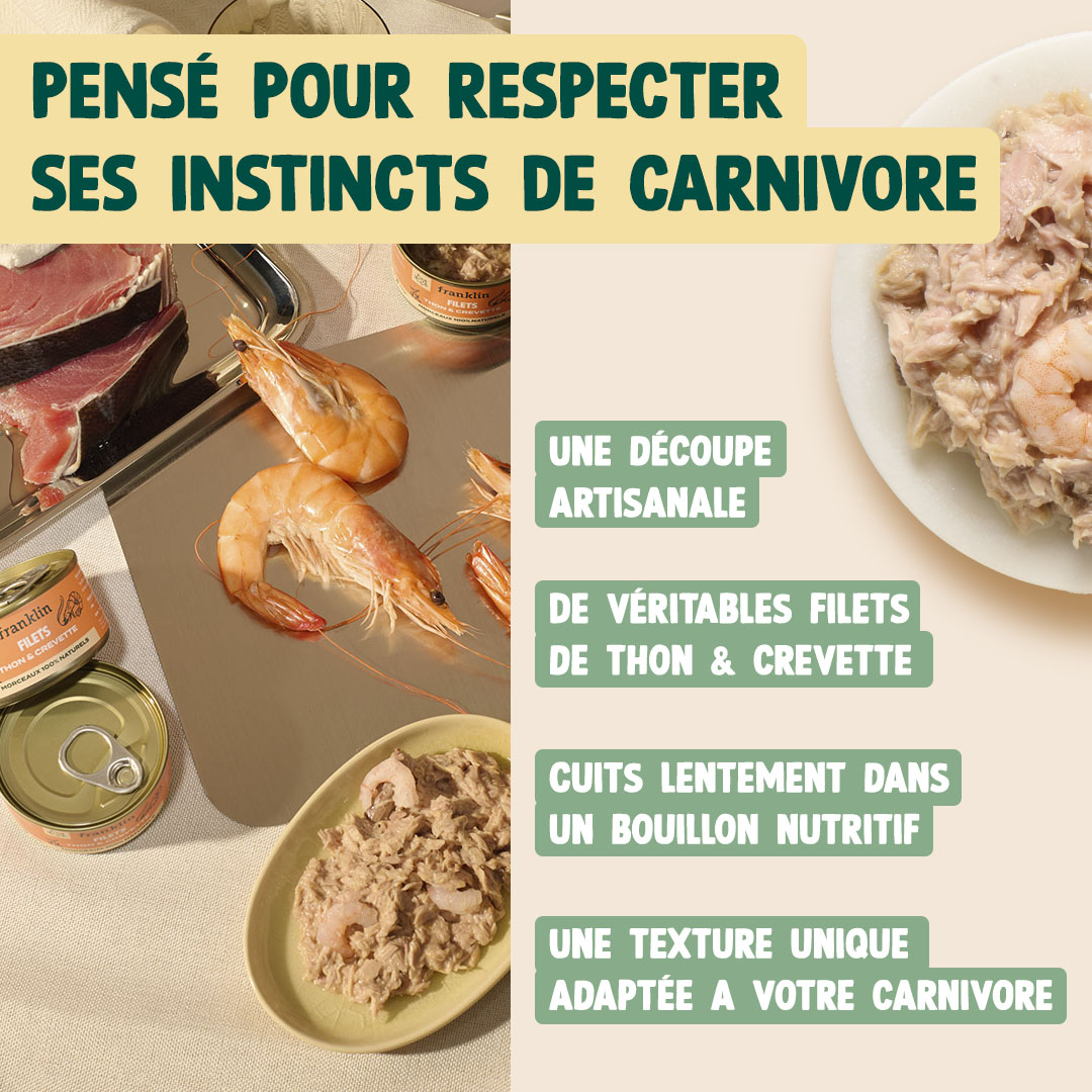 THON & CREVETTE