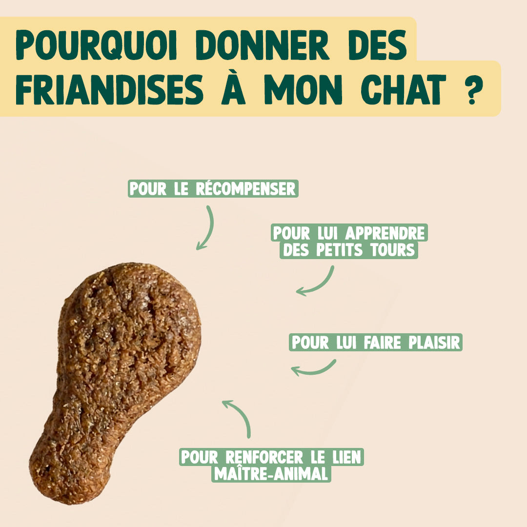 MINI BOUCHÉES - POULET, HERBE À CHAT