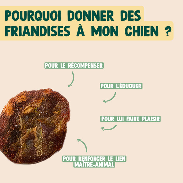 mini-viande-sechee-boeuf-romarin