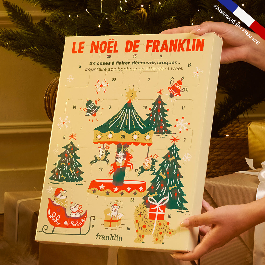CALENDRIER DE L'AVENT CHIEN