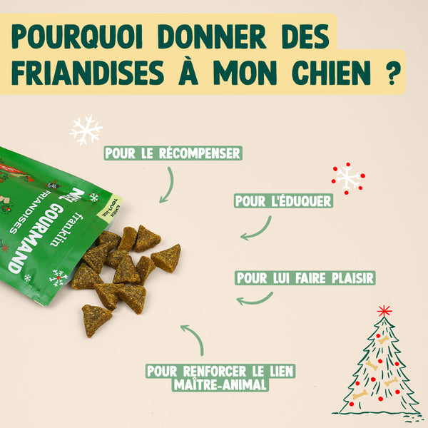 noel-gourmand-dinde-cheddar
