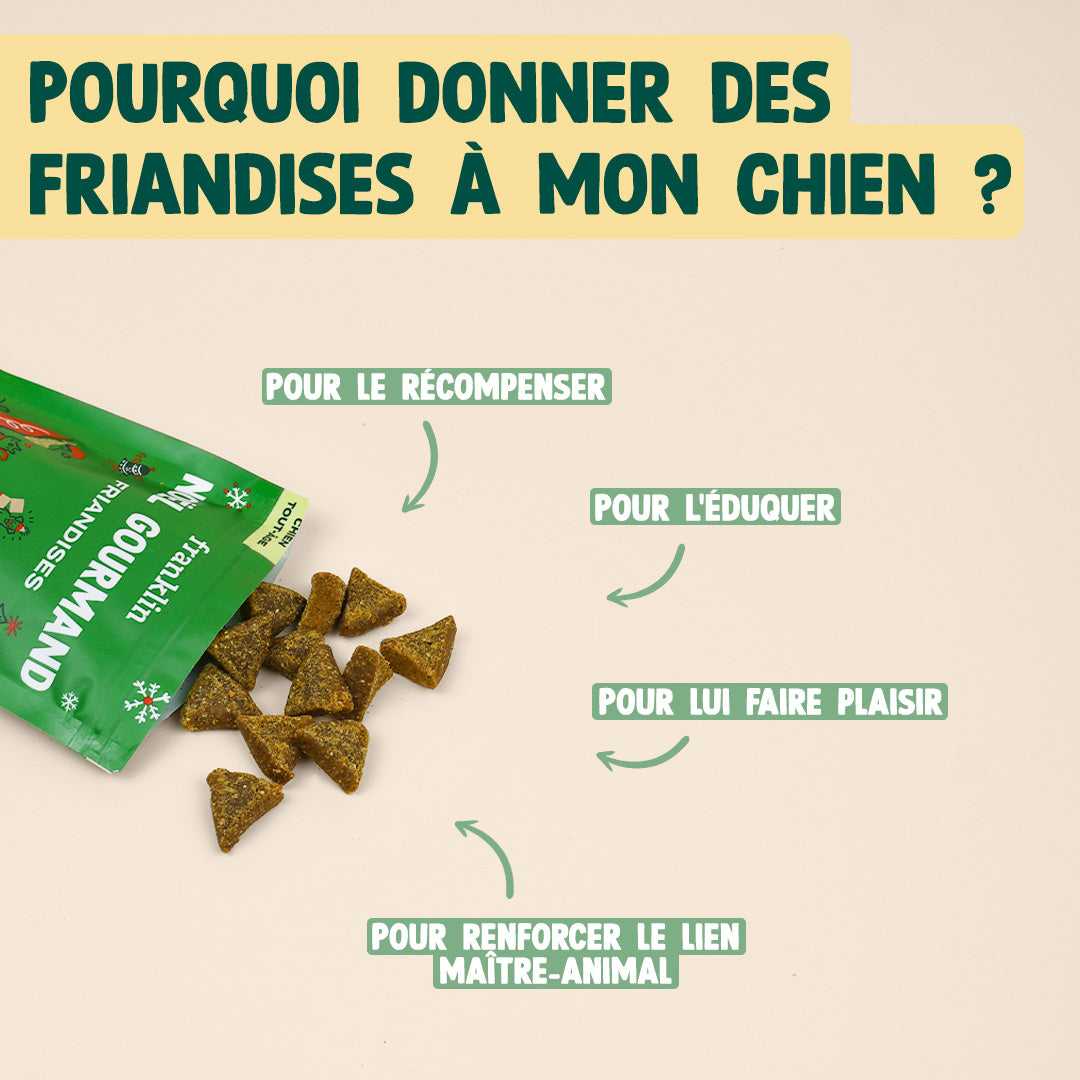 NOËL GOURMAND - DINDE, CHEDDAR