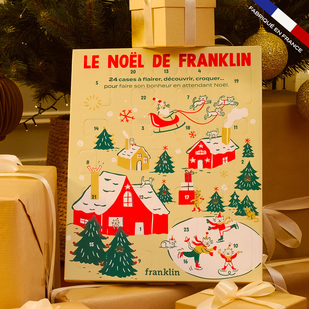 CALENDRIER DE L'AVENT CHAT