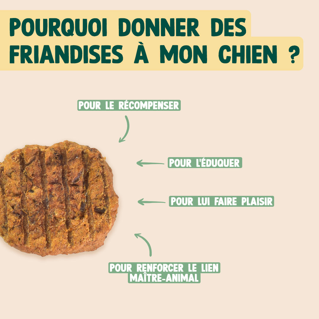 BOEUF SÉCHÉ BARBECUE