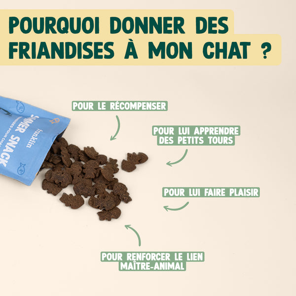 summer-snack-hareng-romarin