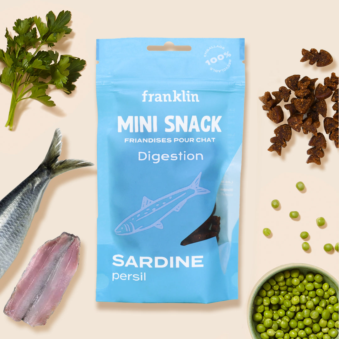 MINI SNACK DIGESTION