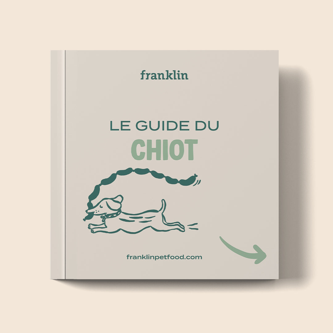 GUIDE CHIOT