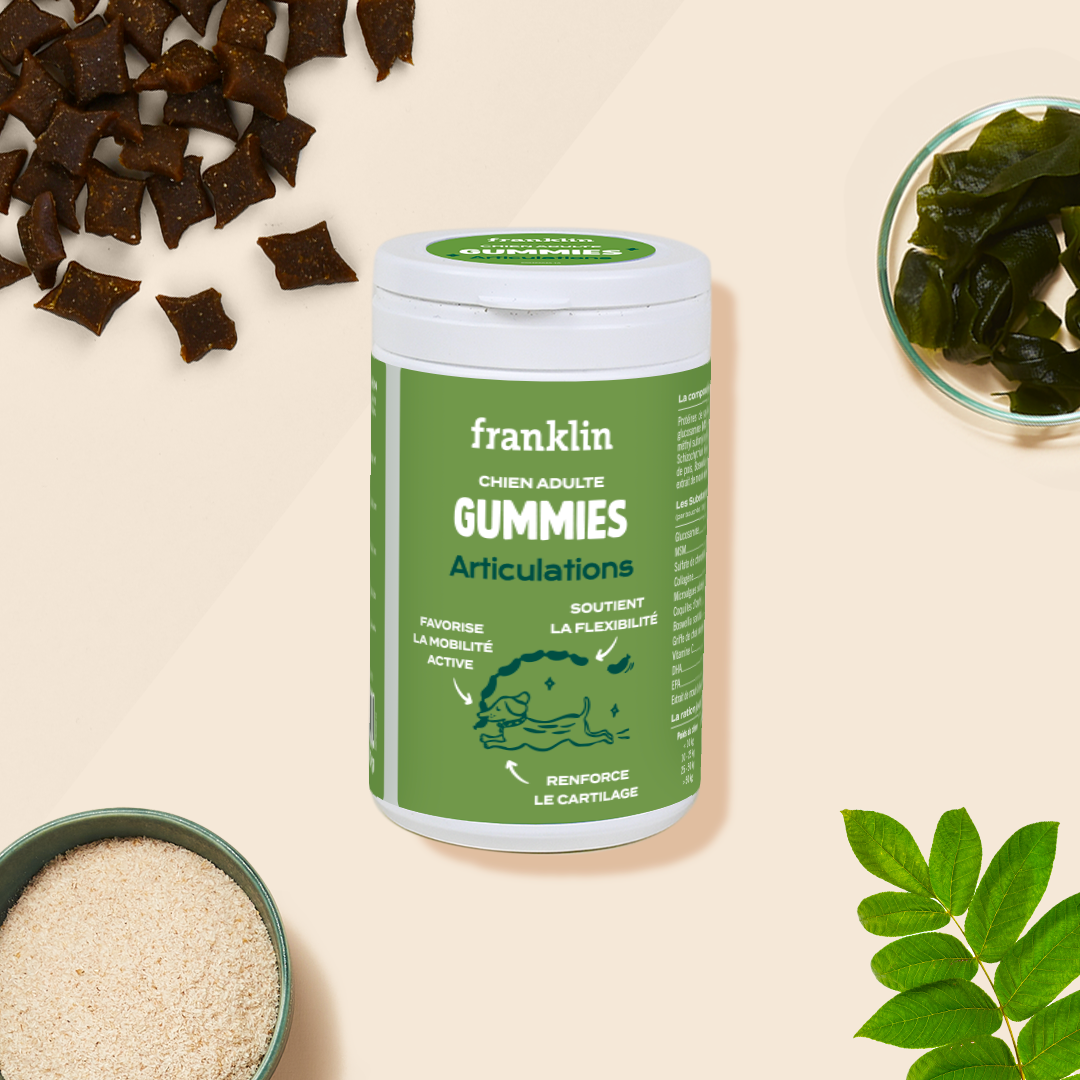 Franklin Alimentation premium pour chien et chat. Choisissez la meilleure nourriture pour votre animal : Croquettes sans céréales riches en protéines et faibles en glucides. Découvrez notre large gamme de pâtées et de friandises riches en viande !