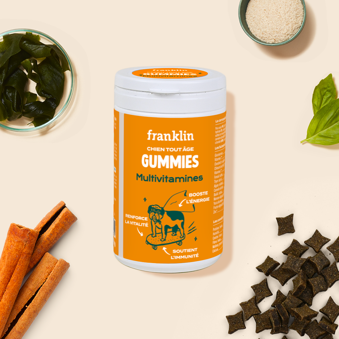 Franklin Alimentation premium pour chien et chat. Choisissez la meilleure nourriture pour votre animal : Croquettes sans céréales riches en protéines et faibles en glucides. Découvrez notre large gamme de pâtées et de friandises riches en viande !