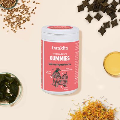 gummies-demangeaisons