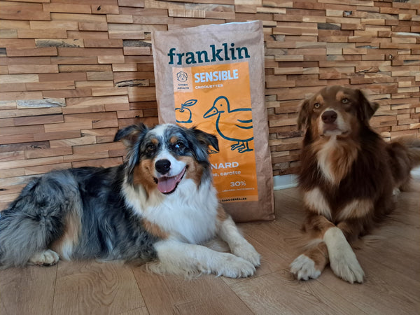 Déborah & Meije et Whymper