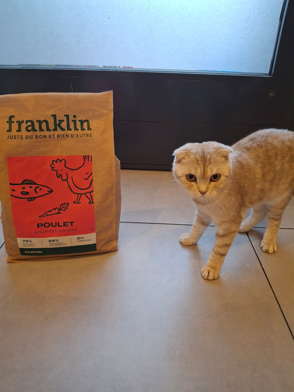 Ivanna & Milky