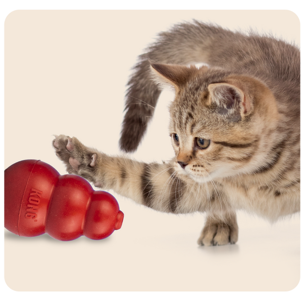 Caché dans un jouet