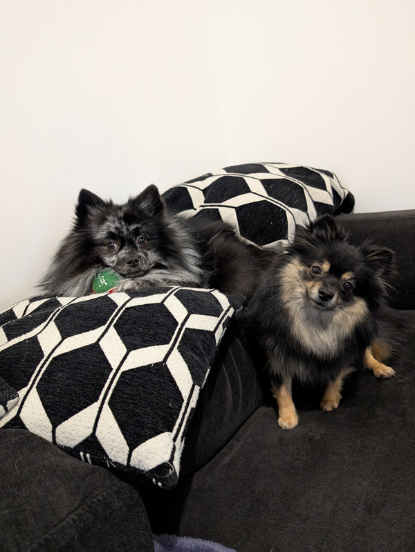 Spike & Roxy
