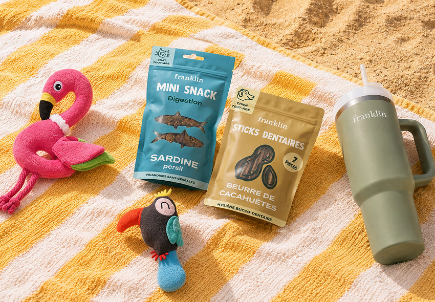 Franklin Alimentation premium pour chien et chat. Choisissez la meilleure nourriture pour votre animal : Croquettes sans céréales riches en protéines et faibles en glucides. Découvrez notre large gamme de pâtées et de friandises riches en viande !