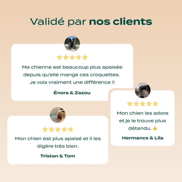 dinde-saumon-valeriane