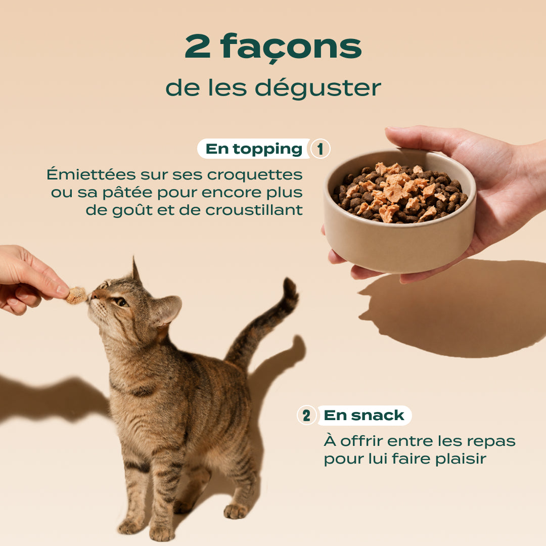 DUO SNACK SAUVAGE