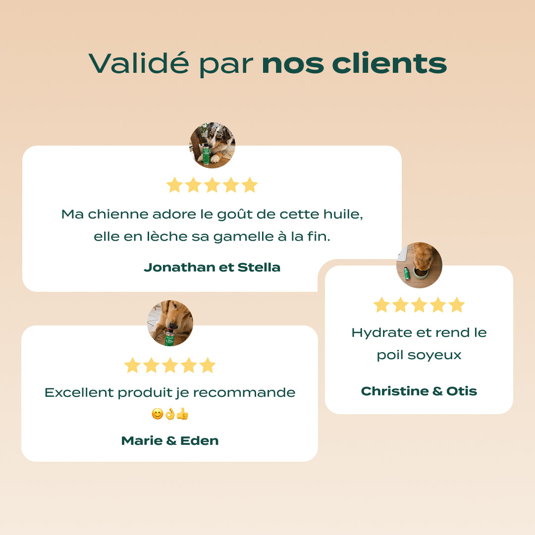 HUILE DE CHANVRE BIO