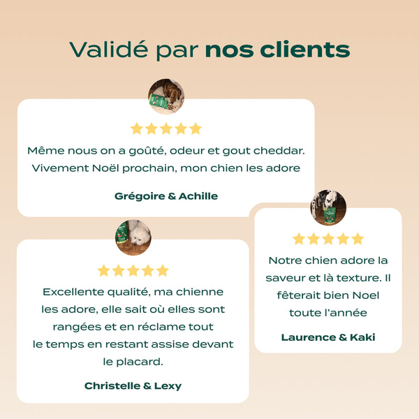 noel-gourmand-dinde-cheddar