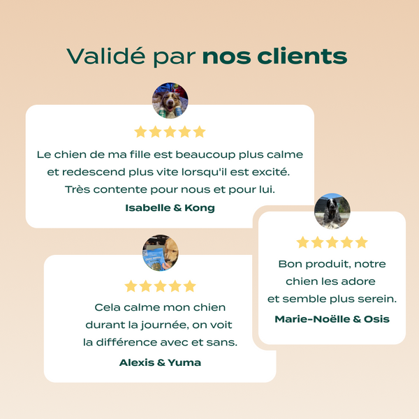 pack-decouverte-anti-stress-chien