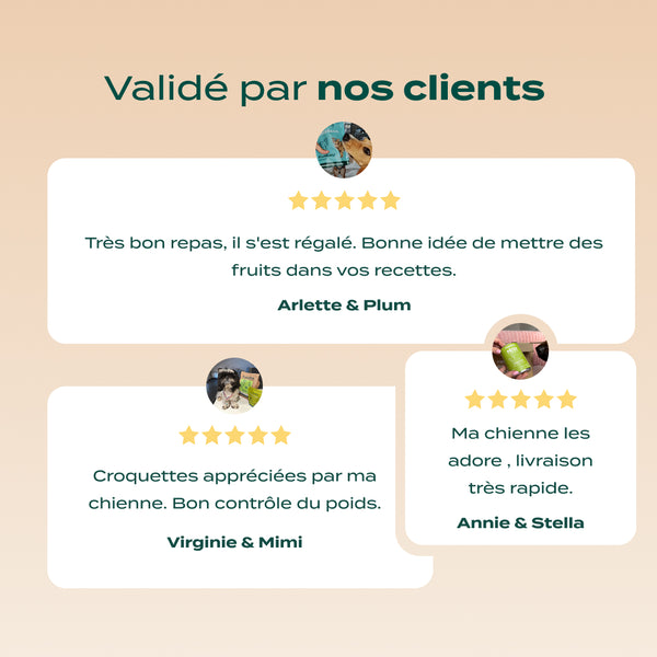 pack-chien-sterilise