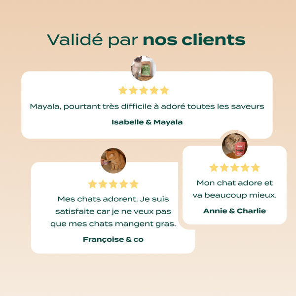 pack-chat-sterilise