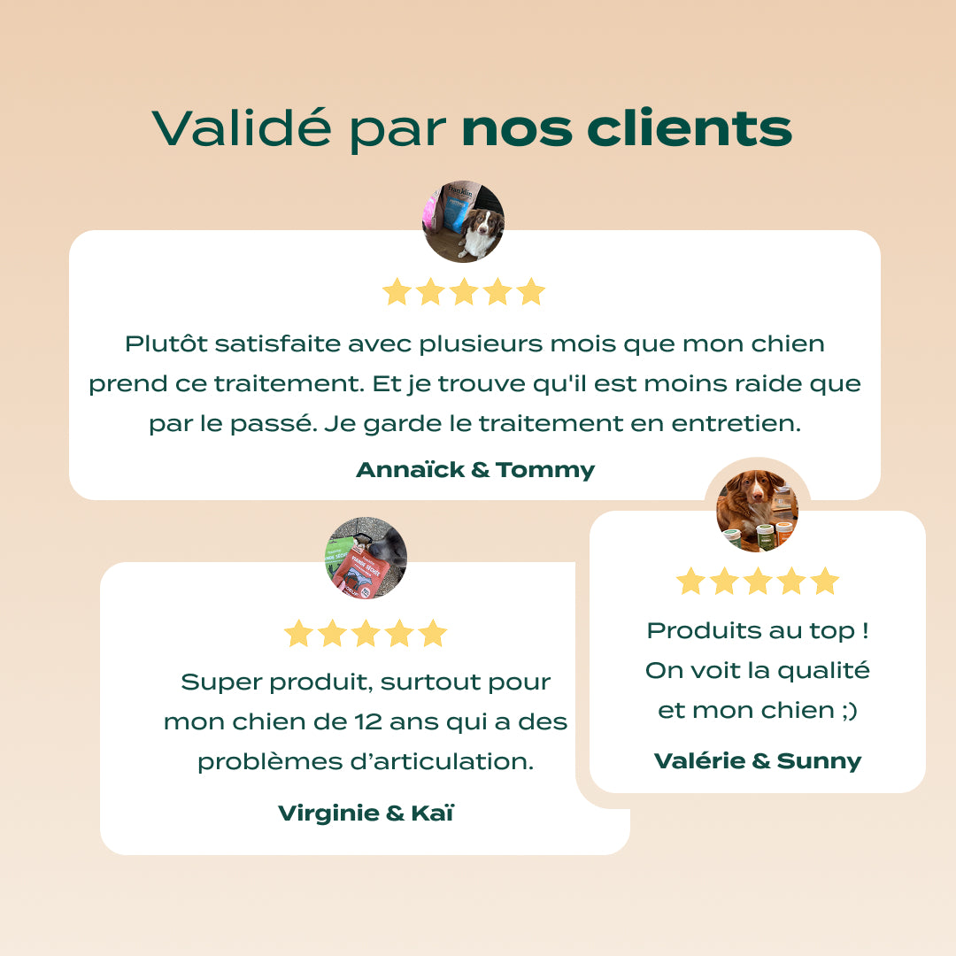 PACK CHIEN SENIOR