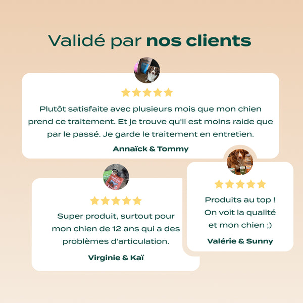 pack-chien-senior