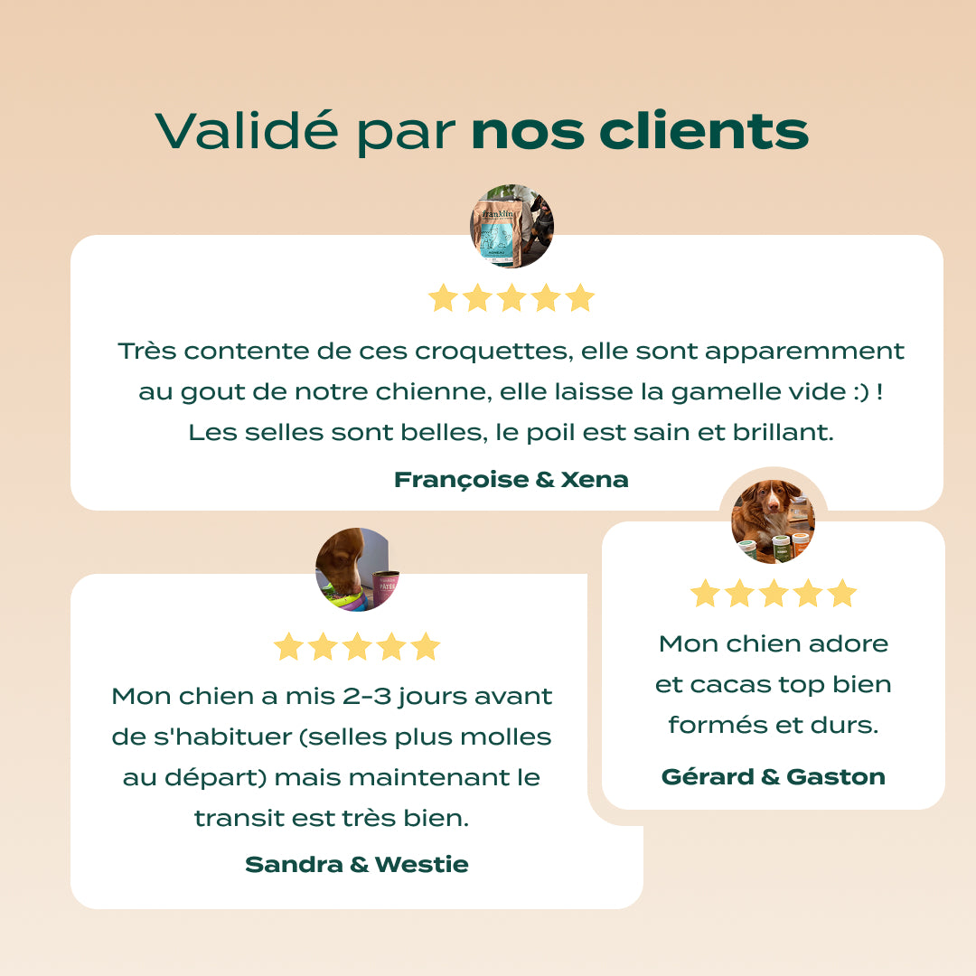 PACK DIGESTION CHIEN