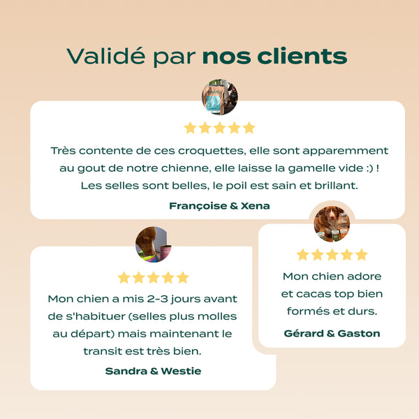 pack-digestion-chien