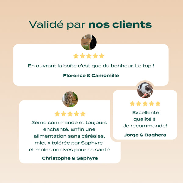 pack-chat-difficile