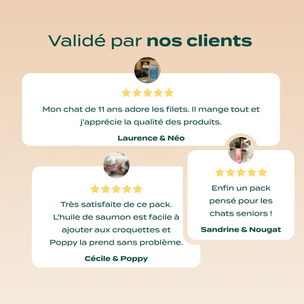 pack-chat-senior