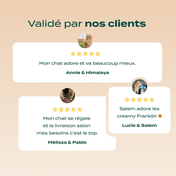 pack-surpoids-chat