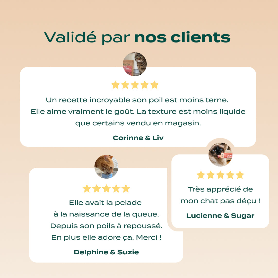 PACK ANTI-ALLERGIE CHAT